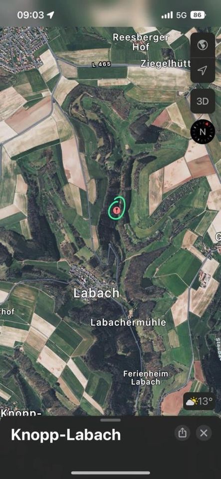 Waldfläche zur Pacht 66917 Knopp-Labach in Knopp-Labach