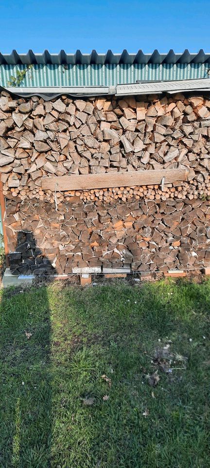 Brennholz, Kaminholz, ofenfertiges Holz, Feuerholz in Neukirch (bei Königsbrück)