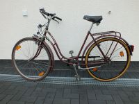 Triumph 28er Damenfahrrad, ca. 1930er-40er Jahre, Sammler-Rarität Niedersachsen - Obernkirchen Vorschau