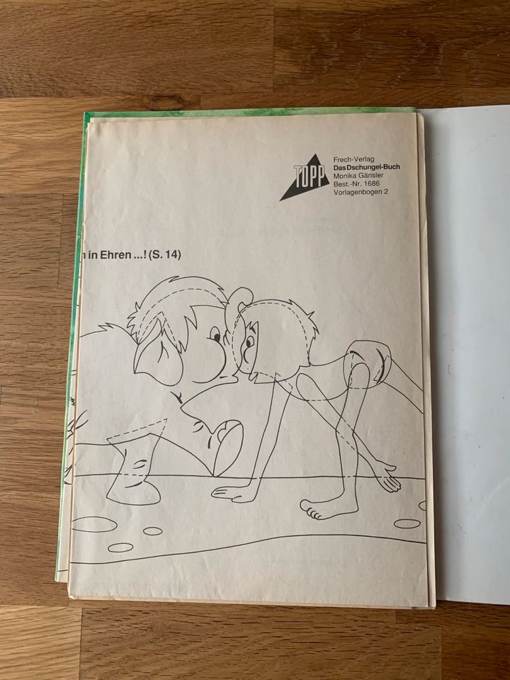 Walt Disney Das DSCHUNGEL BUCH Fensterbilder aus Tonkarton in Landau-Mörlheim