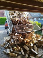 Kaminholz Brennholz reine Buche 25cm frisch mit Lieferung Niedersachsen - Osnabrück Vorschau