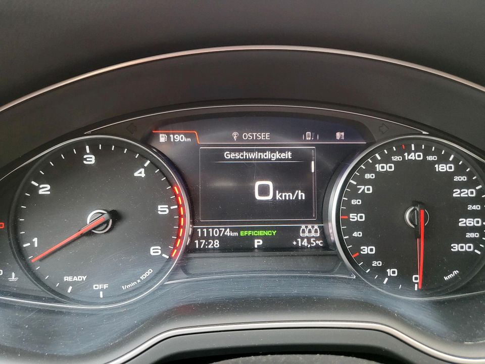 Audi Q7 3.0TDI TÜV NEU Pano AHK Leder Luft 8fach Bereift uvm in Born am Darß