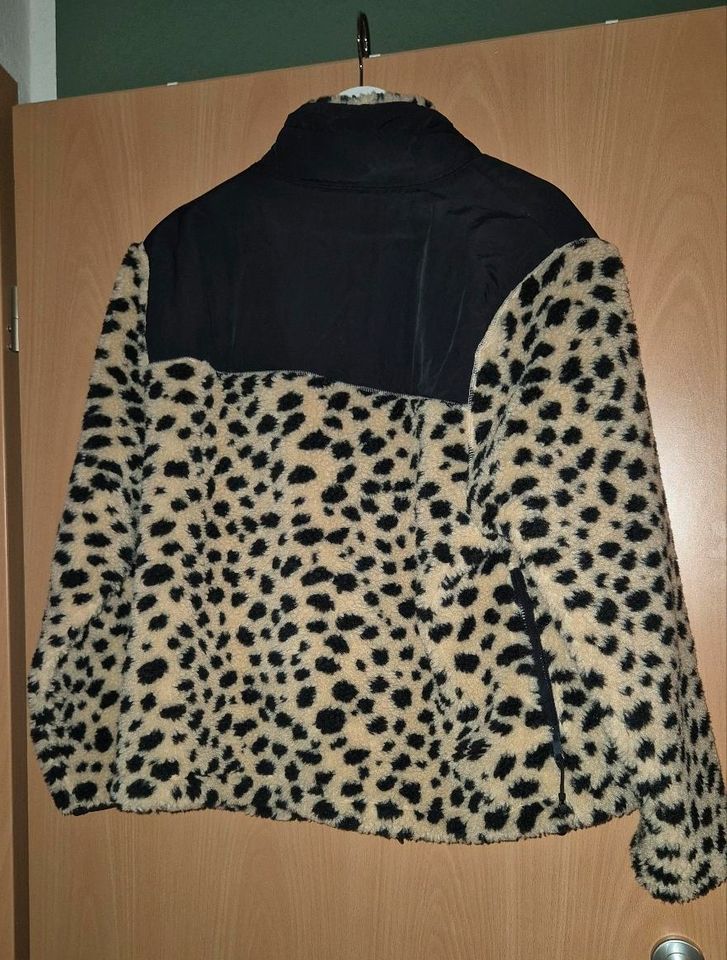 Levis Jacke Leoprint in Dülmen