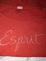 Esprit Langarmshirt 44 46 XXL xxxl Sachsen - Meißen Vorschau