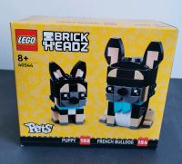 Lego Brick Headz 40544 French Bulldog Neu Bayern - Königsbrunn Vorschau