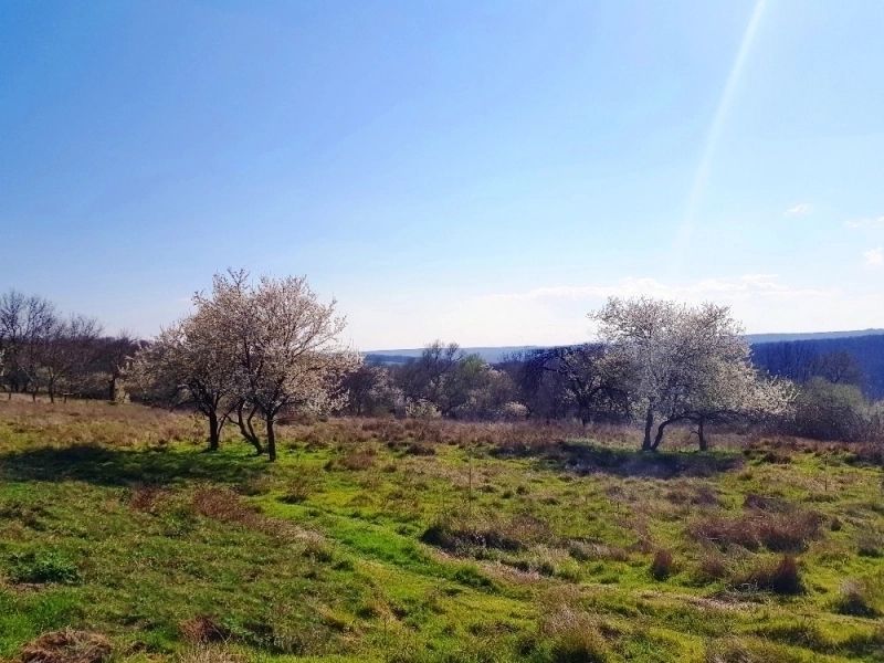 BULGARIEN: BULGARIEN, Nah VARNA: Seltenes Grundstück mit unverbauter Sicht, direkt im Dorf Priseltsi. 5 km vom Meer, windgeschützte Südlage. in Spangenberg
