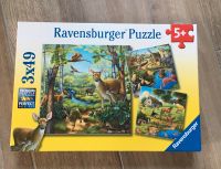 Puzzle Ravensburger ab 5 Jahre 3x49 Teile Münster (Westfalen) - Gremmendorf Vorschau