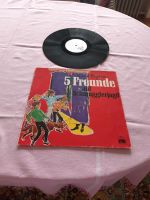 LP 5 Freunde auf Schmugglerjagd Hörspiel Enid Blyton Baden-Württemberg - Salem Vorschau