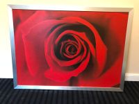 Bild Rote Rose, gerahmt Silberner Rahmen oversize Niedersachsen - Lingen (Ems) Vorschau