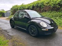 ❌️VW Beetle, TÜV 10.2025,  Lederausstattung❌️ Niedersachsen - Leer (Ostfriesland) Vorschau