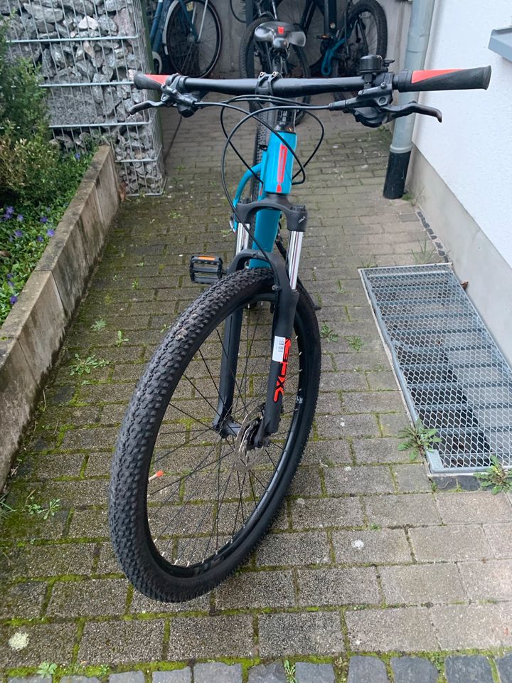 Mountainbike Orbea MX 29 Zoll (Rahmen L) in Weinheim