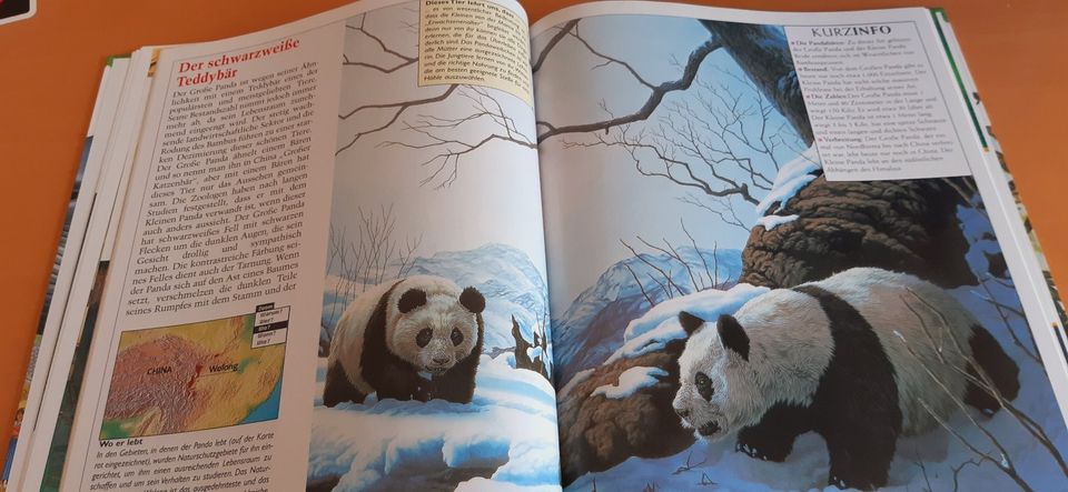 BUCH Wunderbare Tierwelt, Vielfalt des Lebens Kinder in Memmingerberg