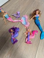 Barbie Meerjungfrauen Set mit Seepferdchen und Seehund Nordrhein-Westfalen - Datteln Vorschau