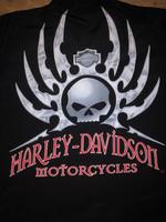 Harley Davidson Hemd Kurzarm Größe L Hessen - Mühltal  Vorschau