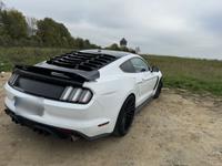 Ford Mustang 5.0 Ti-VCT V8 GT500 Coupé TAUSCH 20 Zoll Hessen - Bad Soden am Taunus Vorschau