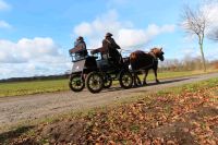 Austausch Gruppe Hund&Pferd Niedersachsen - Kirchwalsede Vorschau