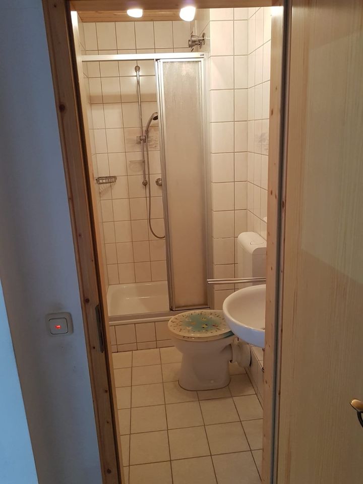 2-Raumwohnung mit +Küche+ DU/WC+Balkon in Reichenbach (Vogtland)