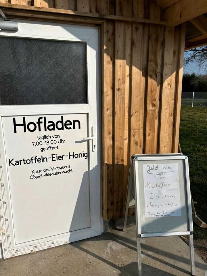 Honig aus eigener Imkerei Buckfast Königinnen / Kartoffeln / Eier in Steinhagen (Vorpommern)