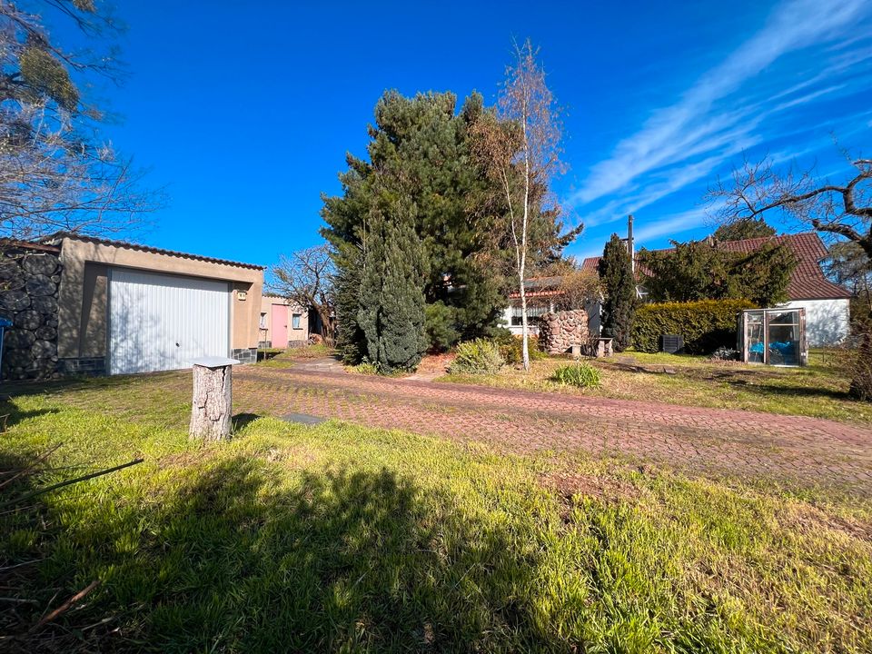 Bungalow in Wittenberg zu verkaufen! in Lutherstadt Wittenberg