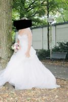 Brautkleid in creme 38 von Affezione Hessen - Offenbach Vorschau