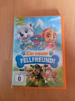 Paw patrol DVDS Schleswig-Holstein - Bargfeld-Stegen Vorschau