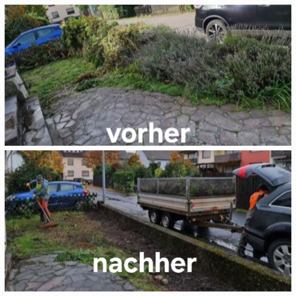 Gartenarbeiten / Heckenschneiden / Rasenmähen / Baumfällung in Saarlouis