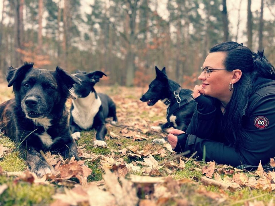 Hundetraining / Hundetrainer in Berlin & Brandenburg in Zeesen