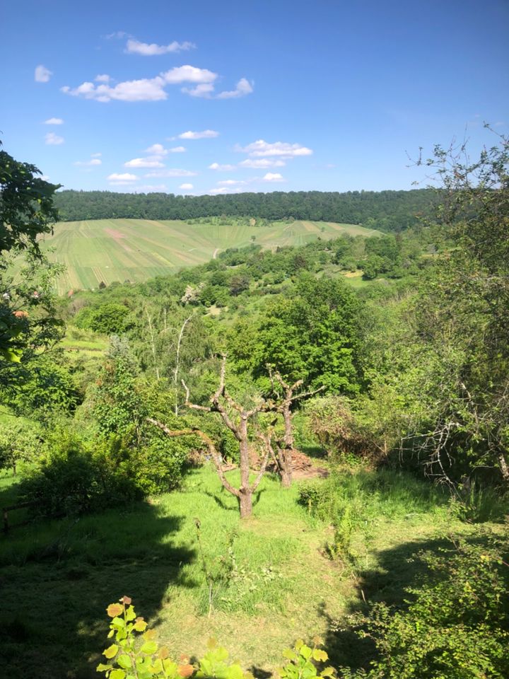 Garten mit Südseite in Esslingen