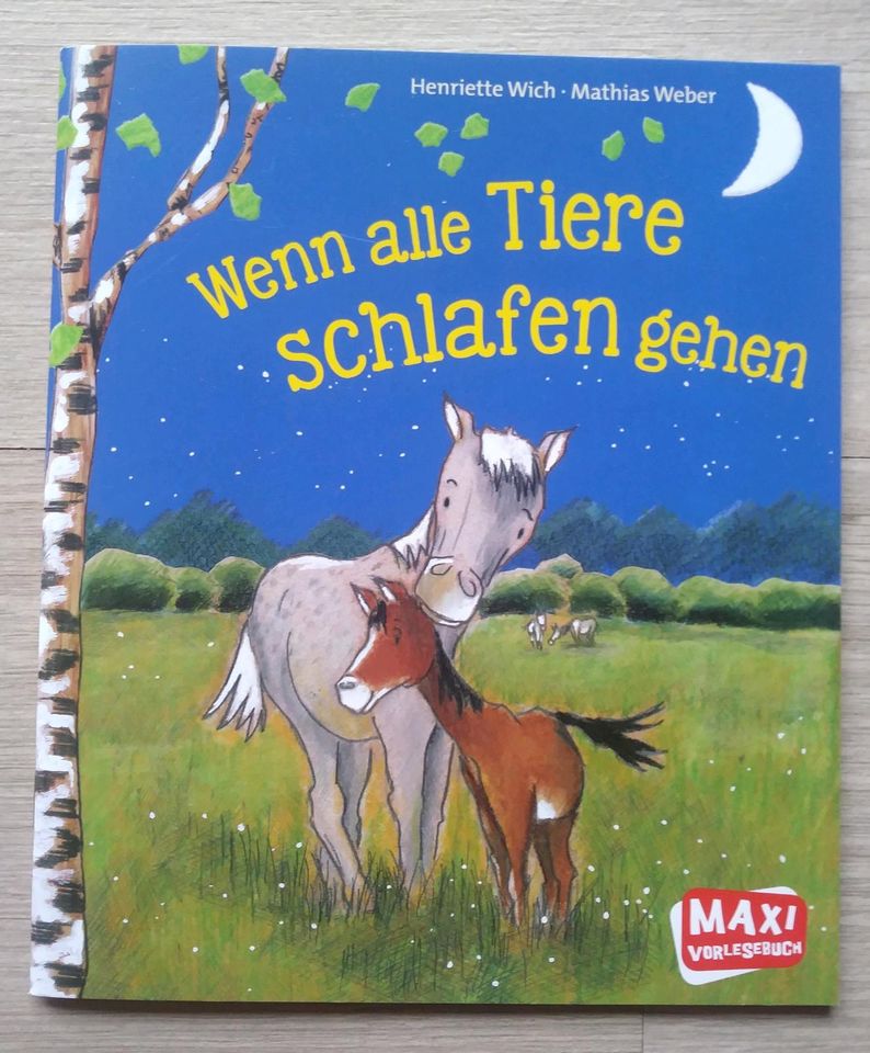 Maxi Vorlesebuch Wenn alle Tiere schlafen gehen in Schömberg b. Württ