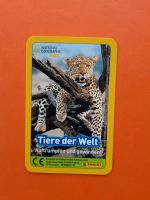 National geographic kids Quartett Tiere der Welt Sachsen - Klingenthal Vorschau