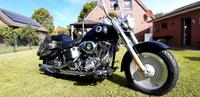 Harley Davidson FLSTF Niedersachsen - Südbrookmerland Vorschau