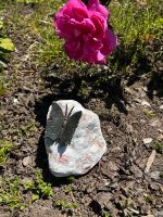 Schmetterling aus Bronze montiert auf Rosario Baden-Württemberg - Hohberg Vorschau