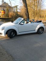 VW Beetle  Cabrio "Cup"  Käfer Nordrhein-Westfalen - Hörstel Vorschau