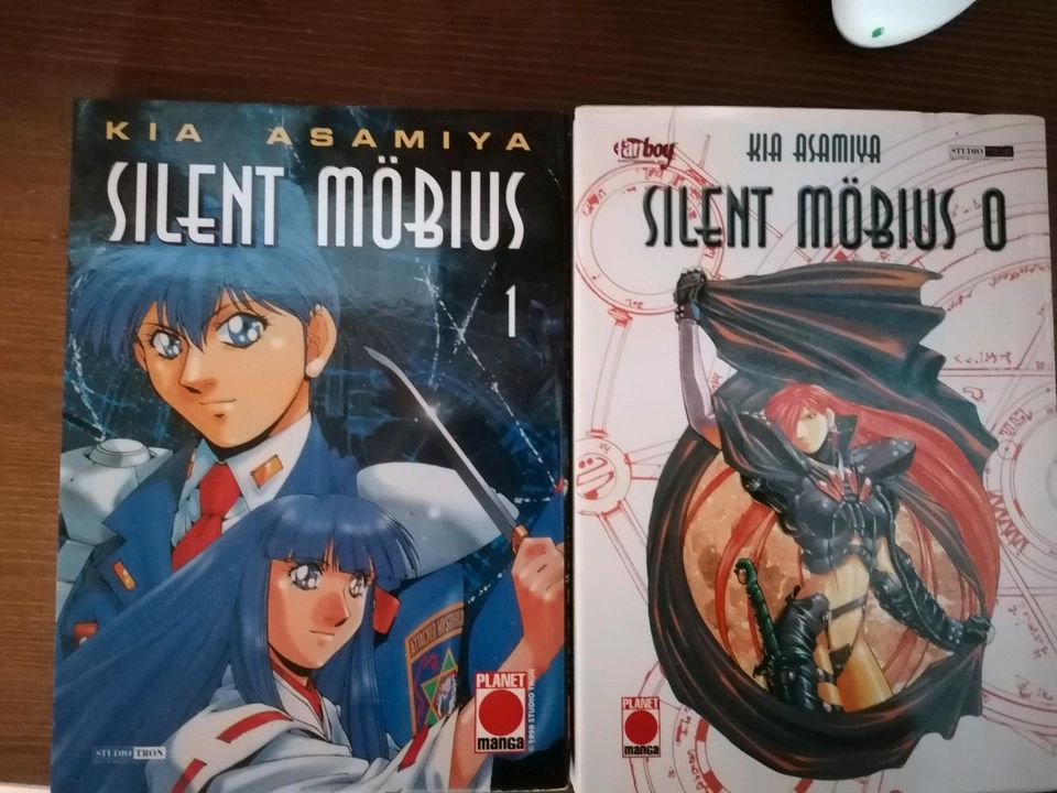 Manga Cantarella, Silent Möbius in Geroldsgrün