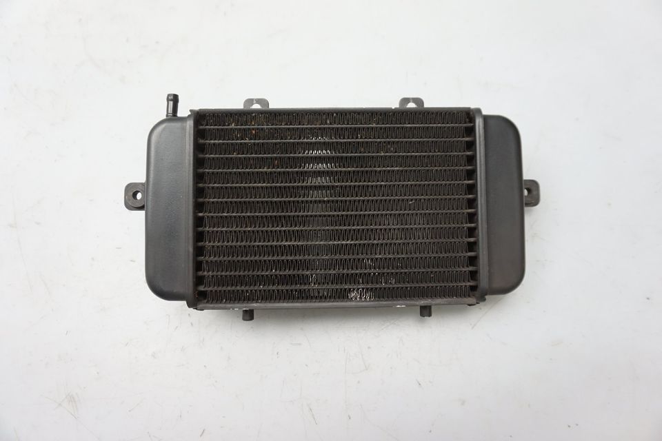 Wasserkühler Kühler Radiator Cooler BMW C1 125 200 in Bad Salzuflen