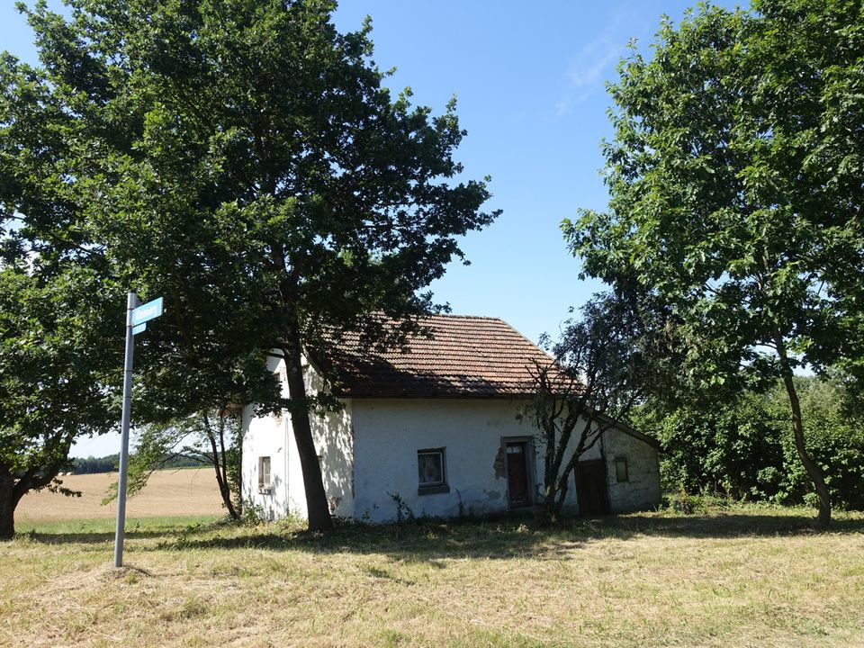 Älteres Anwesen m. ca. 5.000 m2 Grund in Alleinlage nur ca. 3 km v. Deggendorf/Metten in Metten