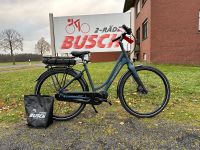 Sensa Treviso Power N7 48cm Shimano E-Bike 418wh Nordrhein-Westfalen - Dülmen Vorschau