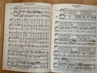 Musikbuch / Klavierbuch von Friedländer 1930 Bonn - Bonn-Zentrum Vorschau
