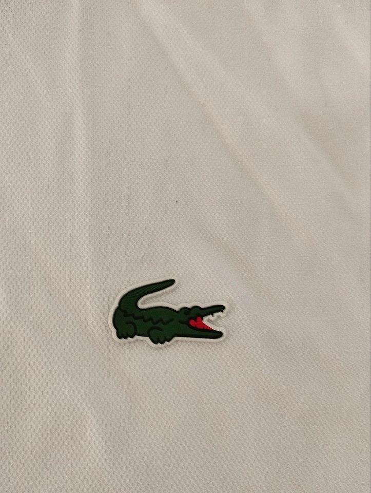 Herren und Jugendliche Lacoste Poloshirt in Überherrn