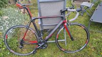 Carver Evolution Carbon Rennrad SUPER LIGHT Rheinland-Pfalz - Braubach Vorschau