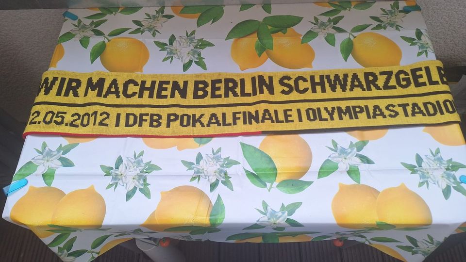 BVB 09 Schals Werbeträger Fanartikel in Dortmund