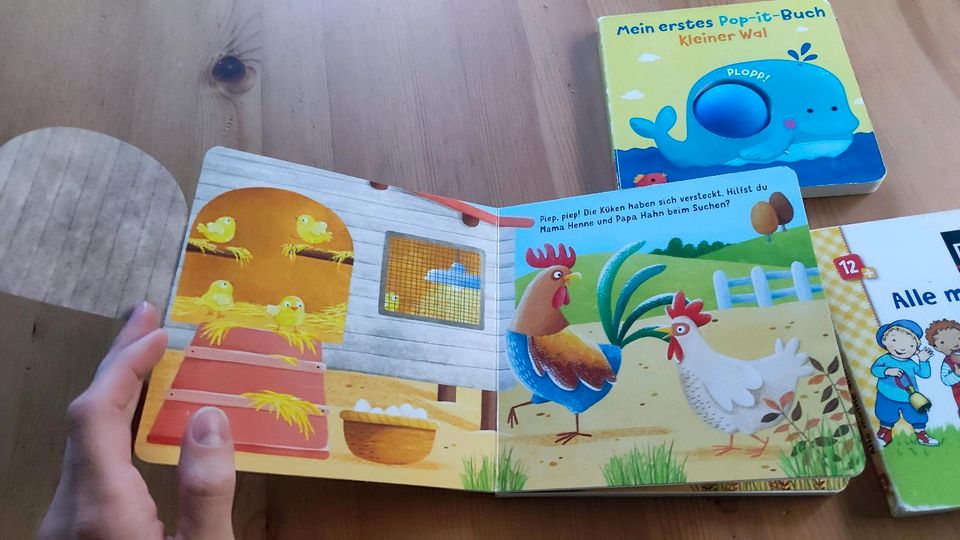 Set 3x Kinderbücher ab 1 Jahr (Popup, Bauernhof, Sinne) in Bannewitz