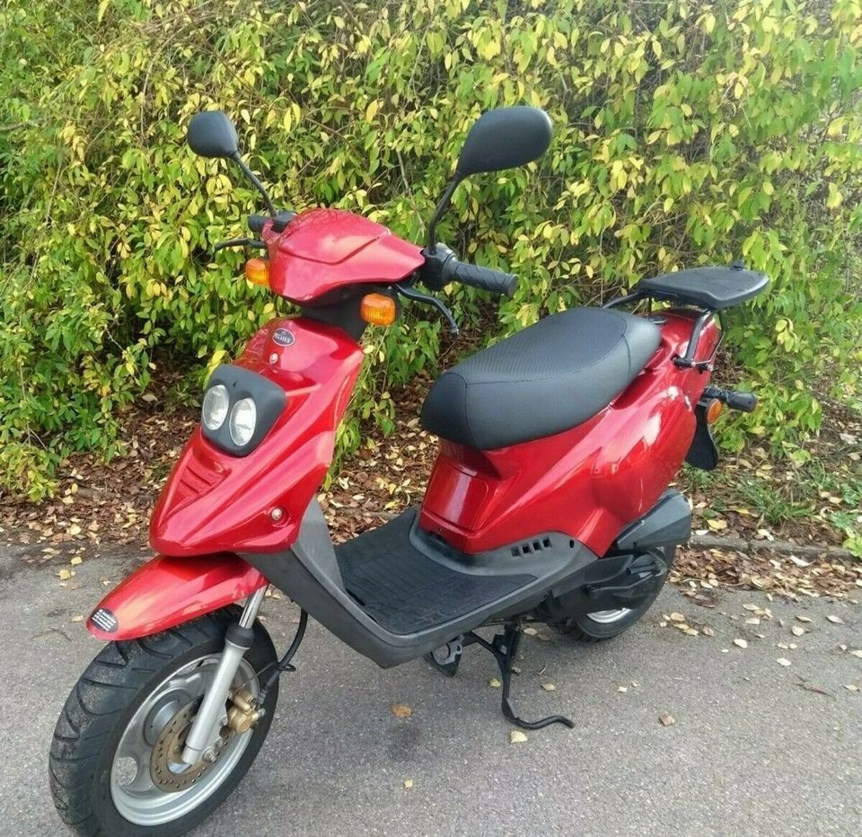 ⭐⭐⭐Pegasus / TGB Motorroller 49ccm - 2 Takter - Gewährleistung⭐⭐⭐ in Büchenbach