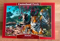 Puzzle  Castorland 3000 Teile Hessen - Kassel Vorschau