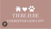 Tierlieber Vermieter gesucht Bayern - Altenstadt Vorschau