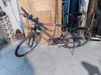 Fahrrad Herrenrad 28Zoll Sachsen - Kriebstein Vorschau