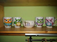 Tasse Schale Eule Tassen Schälchen Eulen Brandenburg - Finsterwalde Vorschau