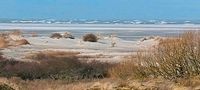 Dauerstellplatz, Saisonplatz , Campingplatz Borkum Niedersachsen - Borkum Vorschau