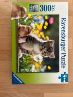 Küken und Katzen Puzzle Hessen - Kronberg im Taunus Vorschau