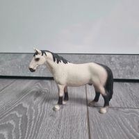 Schleich pferd Hannoveraner hengst weiß 13649 Niedersachsen - Wilhelmshaven Vorschau